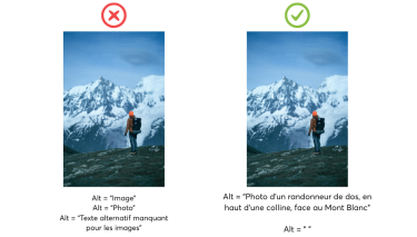 Exemple de texte alternatif pour une image