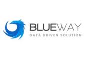 Logo de Blueway solution data driven 