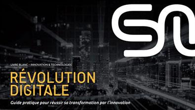 Livre blanc Syntec Numérique